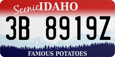 ID license plate 3B8919Z