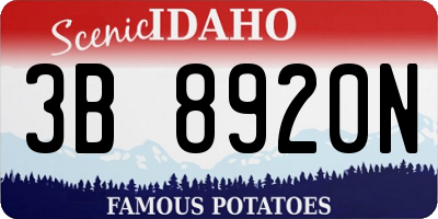 ID license plate 3B8920N