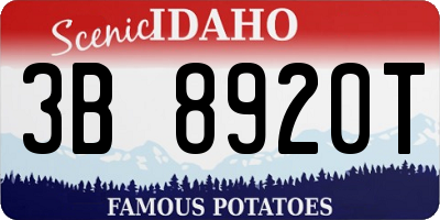 ID license plate 3B8920T