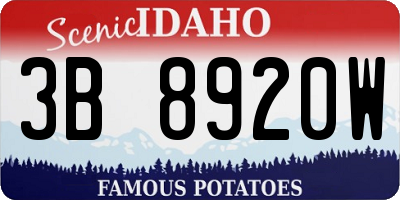 ID license plate 3B8920W