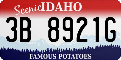 ID license plate 3B8921G