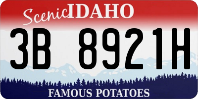ID license plate 3B8921H