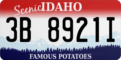 ID license plate 3B8921I