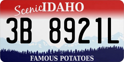 ID license plate 3B8921L