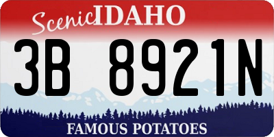 ID license plate 3B8921N