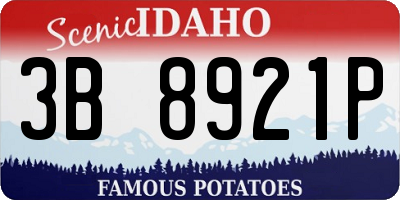 ID license plate 3B8921P