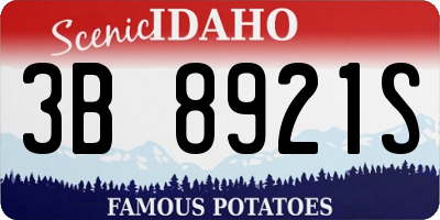ID license plate 3B8921S