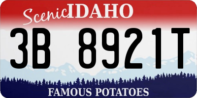ID license plate 3B8921T