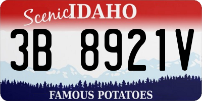 ID license plate 3B8921V