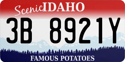 ID license plate 3B8921Y