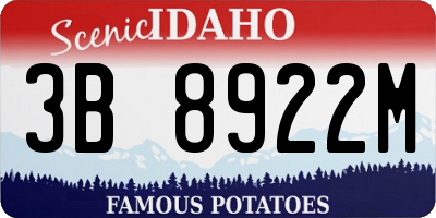 ID license plate 3B8922M