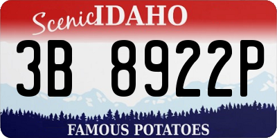 ID license plate 3B8922P