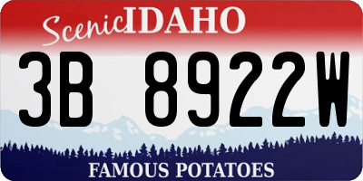 ID license plate 3B8922W
