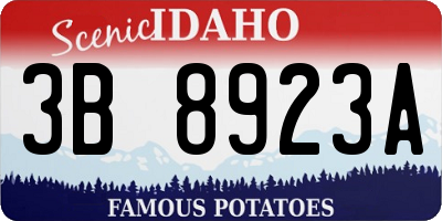 ID license plate 3B8923A