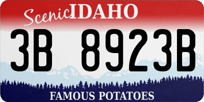 ID license plate 3B8923B