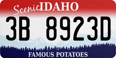 ID license plate 3B8923D