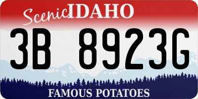 ID license plate 3B8923G