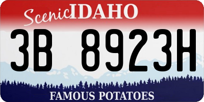 ID license plate 3B8923H