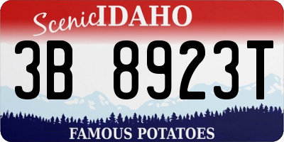 ID license plate 3B8923T