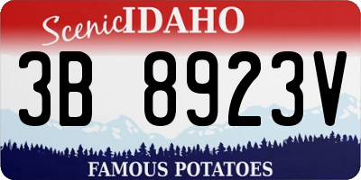 ID license plate 3B8923V