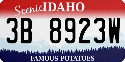 ID license plate 3B8923W