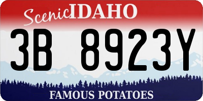 ID license plate 3B8923Y