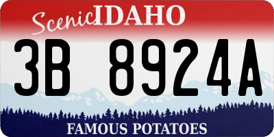 ID license plate 3B8924A