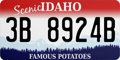 ID license plate 3B8924B