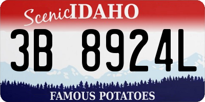 ID license plate 3B8924L