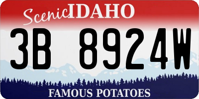 ID license plate 3B8924W