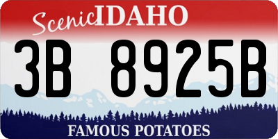 ID license plate 3B8925B