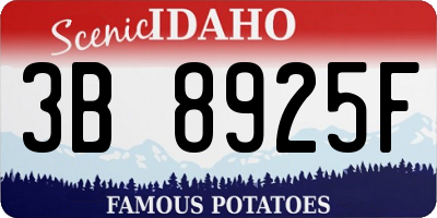 ID license plate 3B8925F
