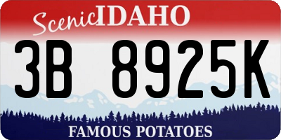 ID license plate 3B8925K