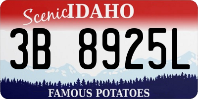 ID license plate 3B8925L