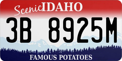 ID license plate 3B8925M