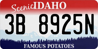 ID license plate 3B8925N