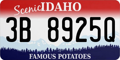 ID license plate 3B8925Q
