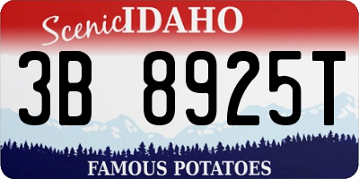 ID license plate 3B8925T