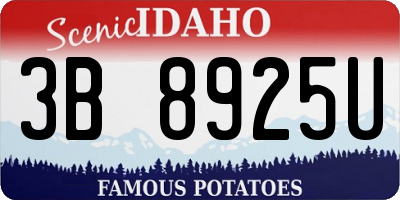 ID license plate 3B8925U