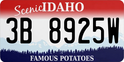 ID license plate 3B8925W