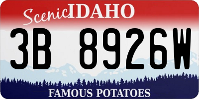 ID license plate 3B8926W