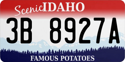 ID license plate 3B8927A