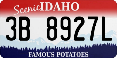 ID license plate 3B8927L