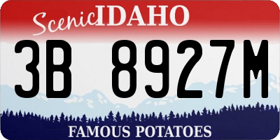 ID license plate 3B8927M