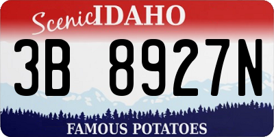 ID license plate 3B8927N