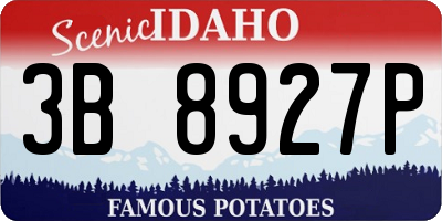 ID license plate 3B8927P