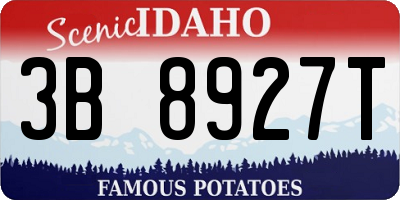 ID license plate 3B8927T