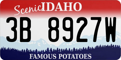 ID license plate 3B8927W