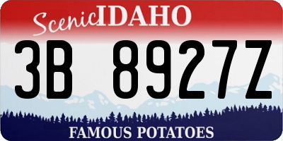 ID license plate 3B8927Z