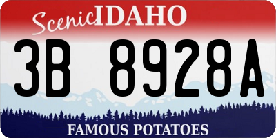 ID license plate 3B8928A
